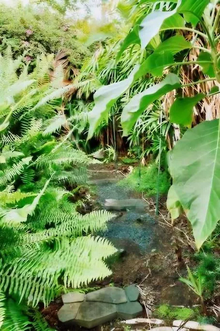 4Br Rainforest Oasis In Kona'S Garden Of Eden Kailua-Kona Hébergement de vacances