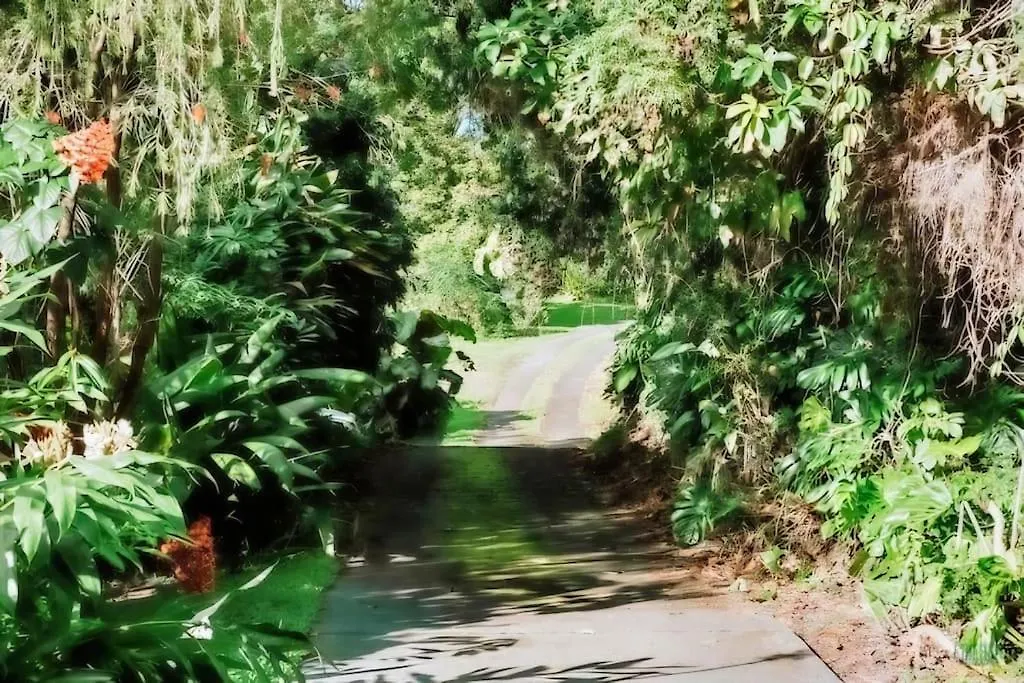 4Br Rainforest Oasis In Kona'S Garden Of Eden Kailua-Kona États-Unis
