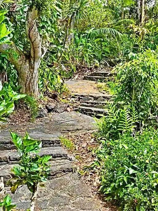 Hébergement de vacances 4Br Rainforest Oasis In Kona'S Garden Of Eden Kailua-Kona