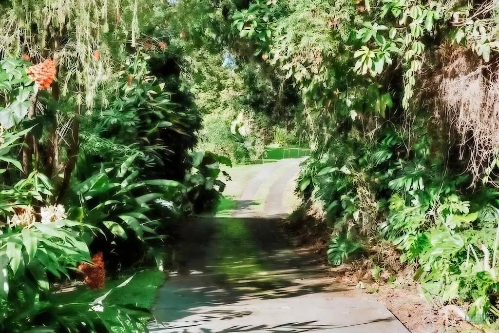 4Br Rainforest Oasis In Kona'S Garden Of Eden Kailua-Kona États-Unis